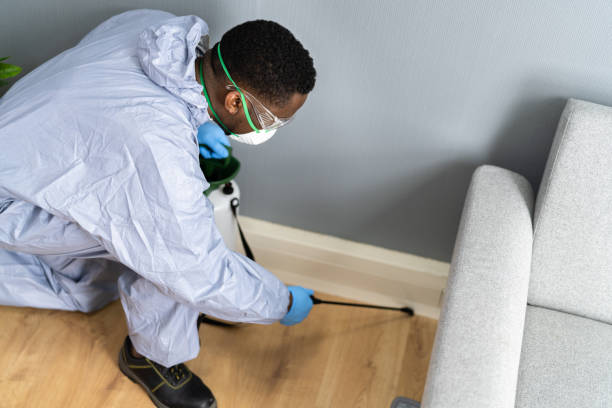 Trusted Doral, FL Pest Control Experts